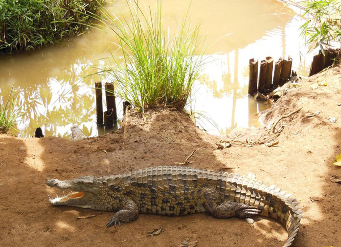 daniel-mada-tours-excursion-nosybe-lemuria-land-002