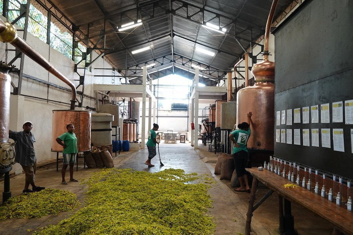 daniel-mada-tours-excursion-nosybe-lemuria-land-003