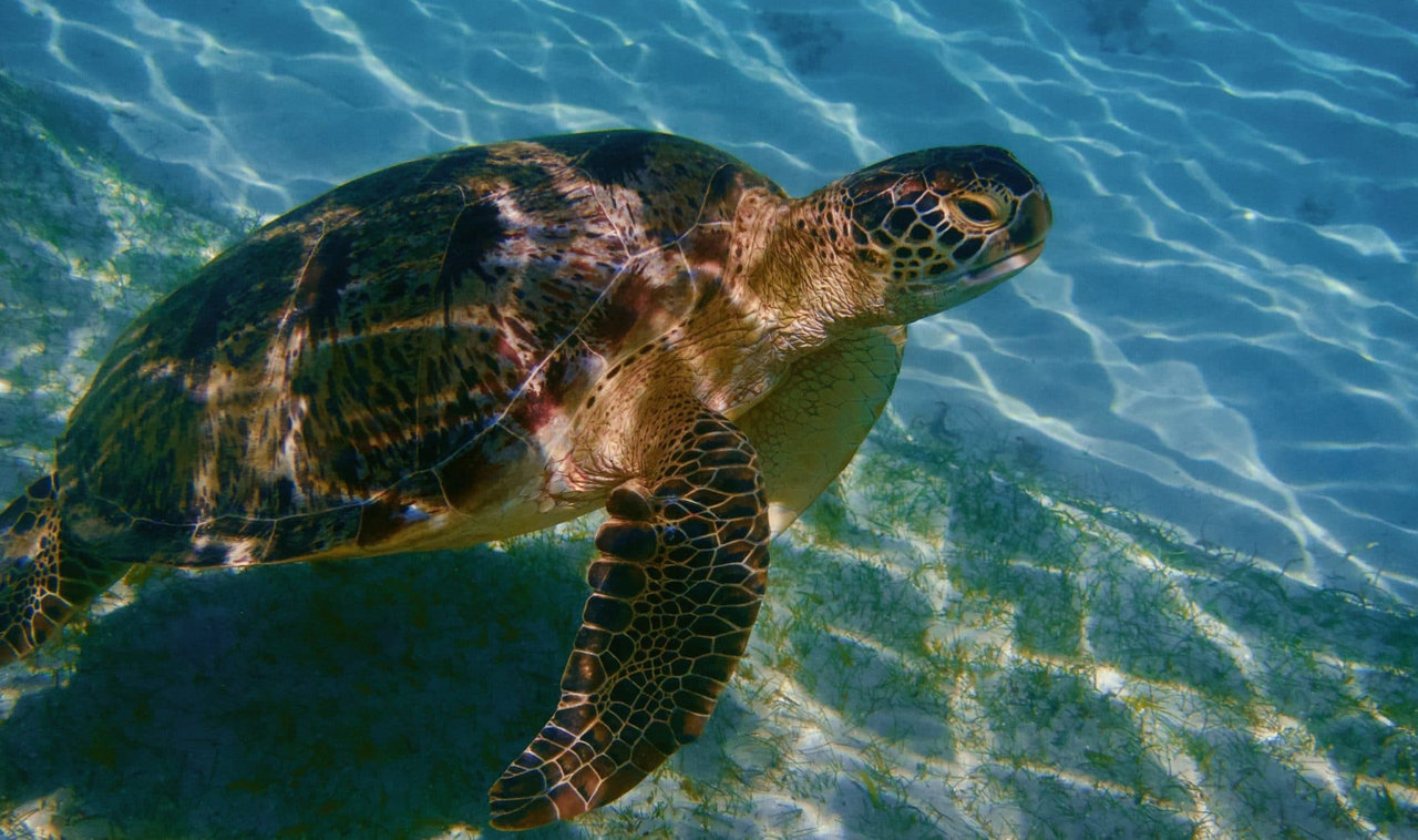 daniel-mada-tours-excursion-nosybe-nosy-sakatia-003