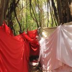 daniel-mada-tours-excursion-nosybe-sacred-tree-002