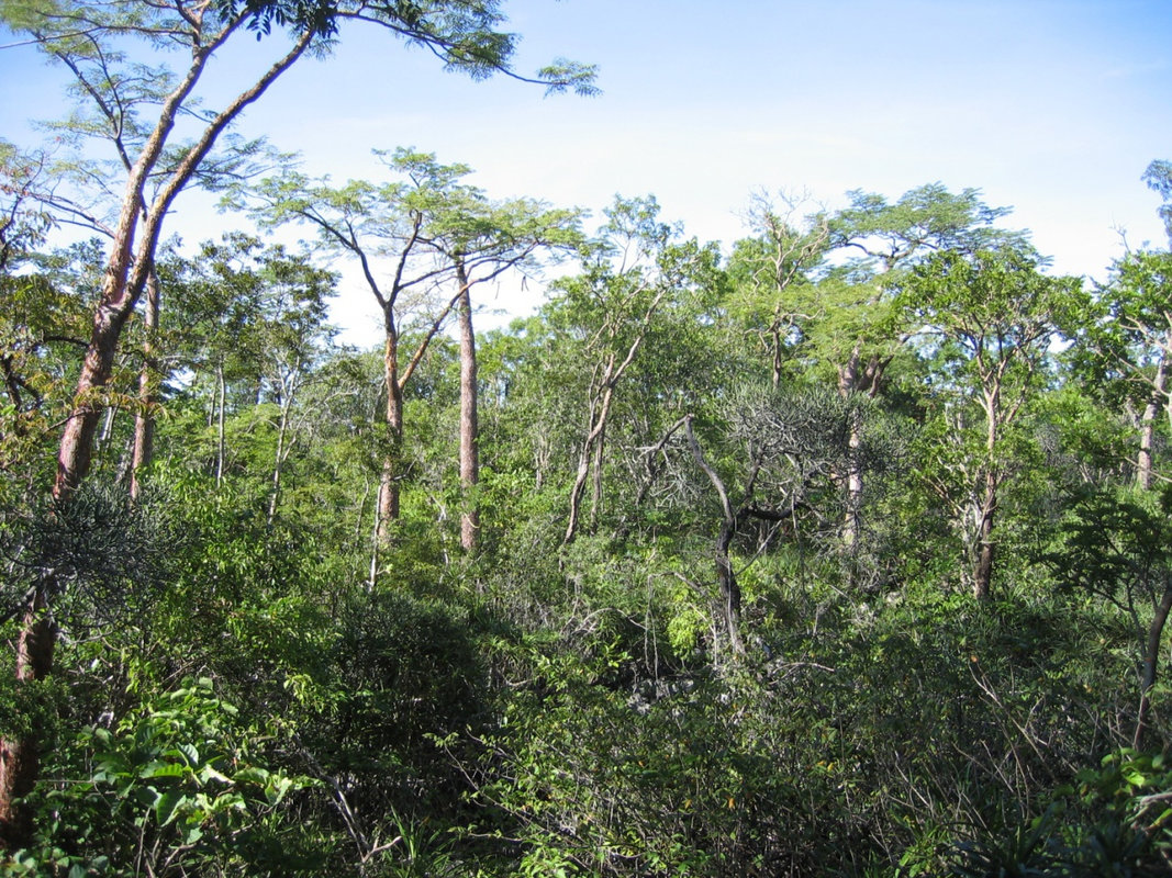 daniel-mada-tours-excursions-diego-amber-mountain-001