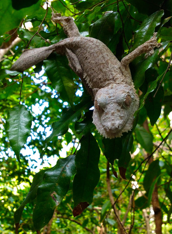 daniel-mada-tours-excursions-diego-amber-mountain-004