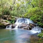 daniel-mada-tours-madagascar-004