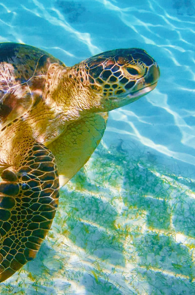 danielmadatours-services-home-sakatia-nosybe