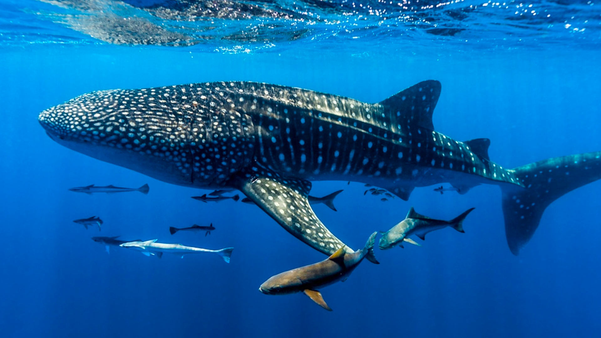 danielmadatours-slider-home-01