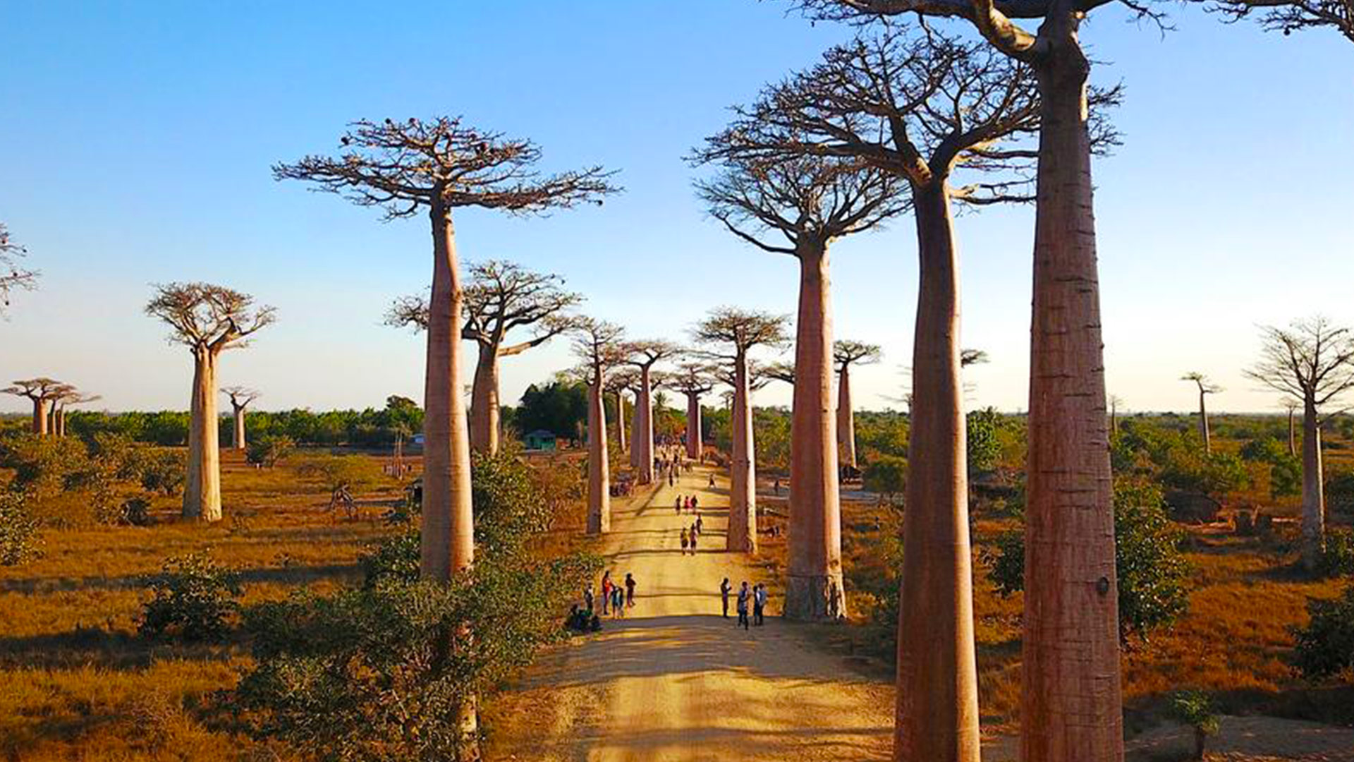 danielmadatpurs-slider-4